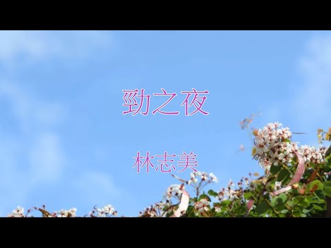 林志美 - 勁之夜