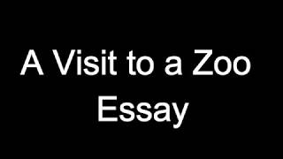 A Visit to a Zoo Short assay.