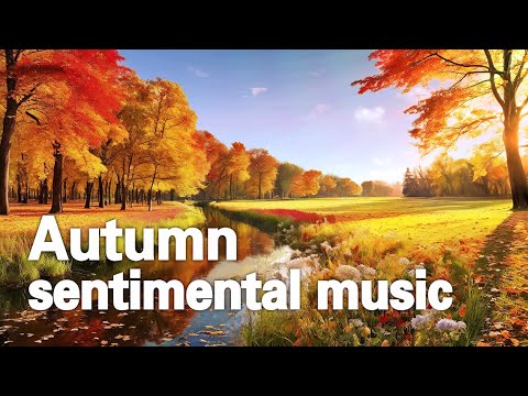 Sentimental Autumn 마음이 차분해지는 가을 감성음악 / Autumn sentimental music - YouTube
