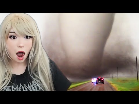 Emiru Reacts to "Craziest Nature Videos of the Decade" by @DailyDoseOfInternet
