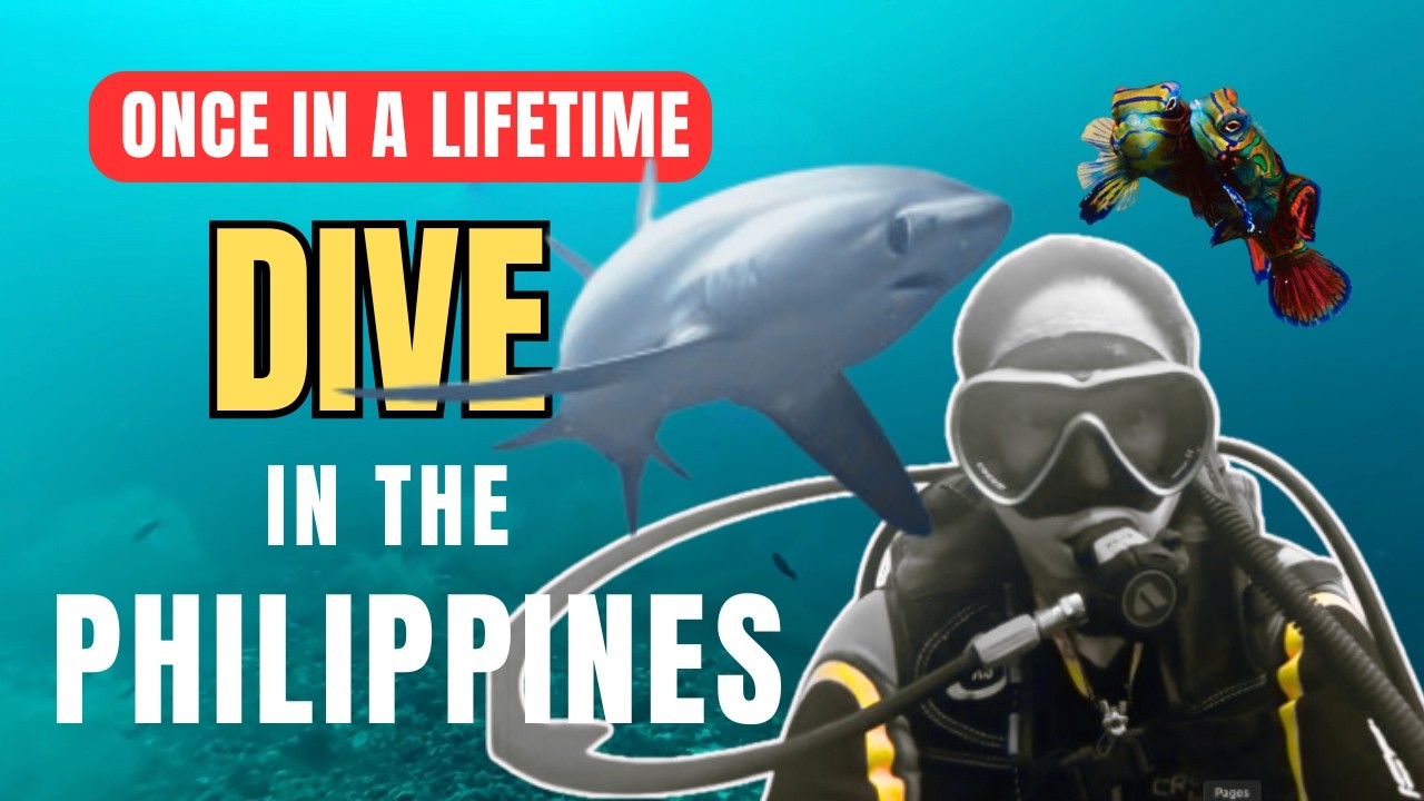 Malapascua Scuba Diving 2026: Mandarin fish, Thresher Sharks & More!