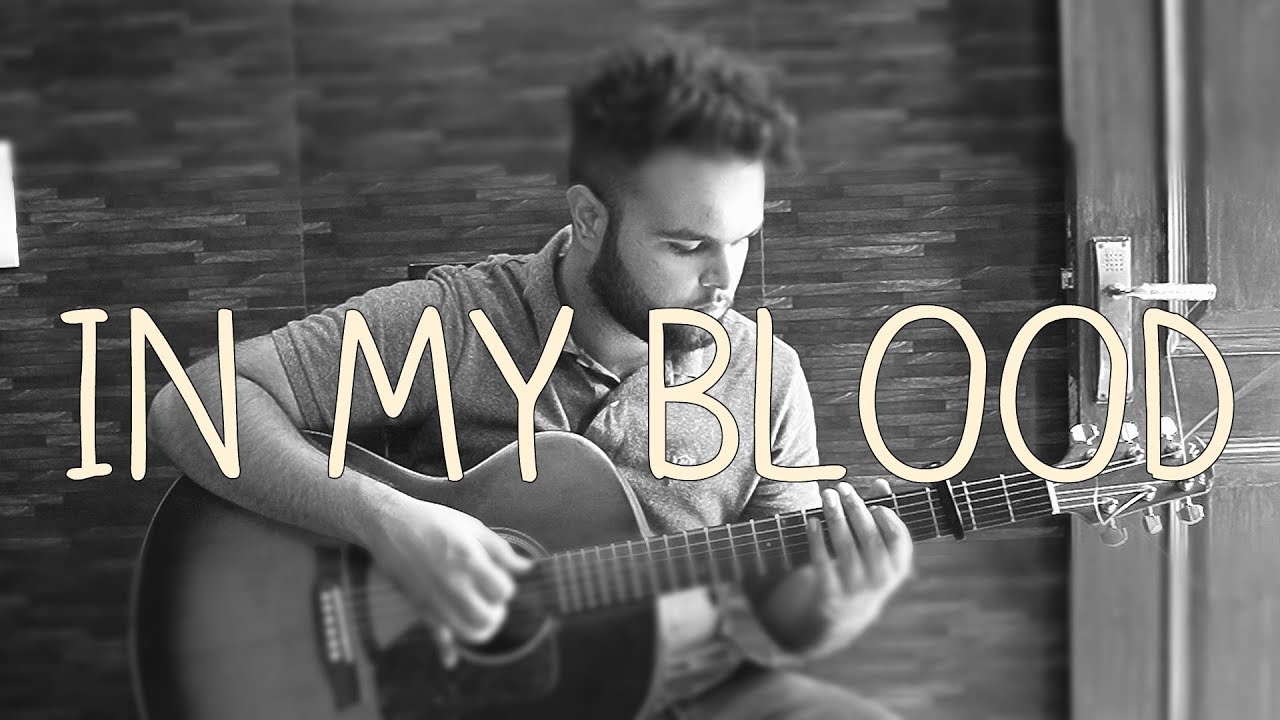 [free tabs] Shawn Mendes - In My Blood ( Fingerstyle Guitar Cover )