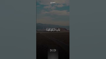 مقتطف من سورة نوح ( 27 - 28 ) | بدر التركي