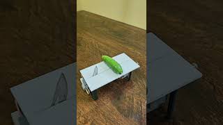 Homemade Mouse Trap —#DIY #Handmade #CreativeDIY #Crafts #Experiment #DIYProject