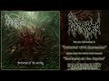 Submerged - "Infested with Barnacles" (Tortured at the Depths | NSE 2024)