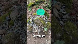 O Pedrouzo: la última calma antes de Santiago