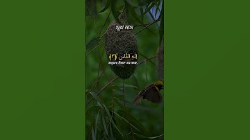 আন-নাস | An-Nas | سورة الناس #ইসলামিক  #quran