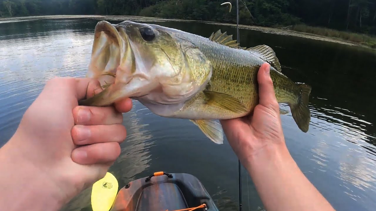 Bass Fishing With Wacky Rig