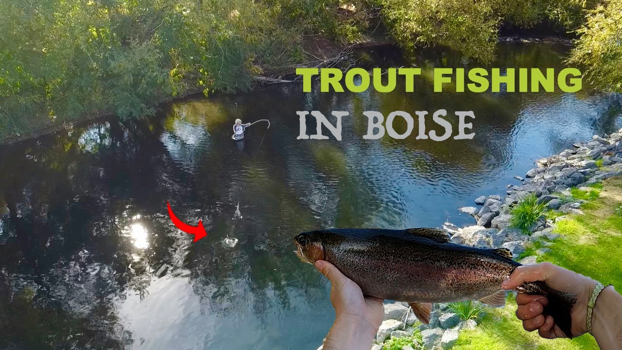 How to Fly Fish the Boise River YouTube
