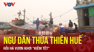 Ngư dân Thừa Thiên Huế hối hả vươn khơi “kiếm Tết”  | Báo Điện tử VOV