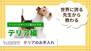 テリアのお手入れ（トリミングナイフ編）【ワンクスクリエイション