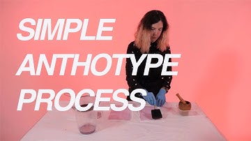 Simple Anthotype Video For Schools // Engineering Sustainable Photographic Processes