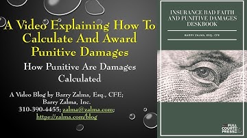 A Video Explaining how to Calculate and Award Punitive Damages