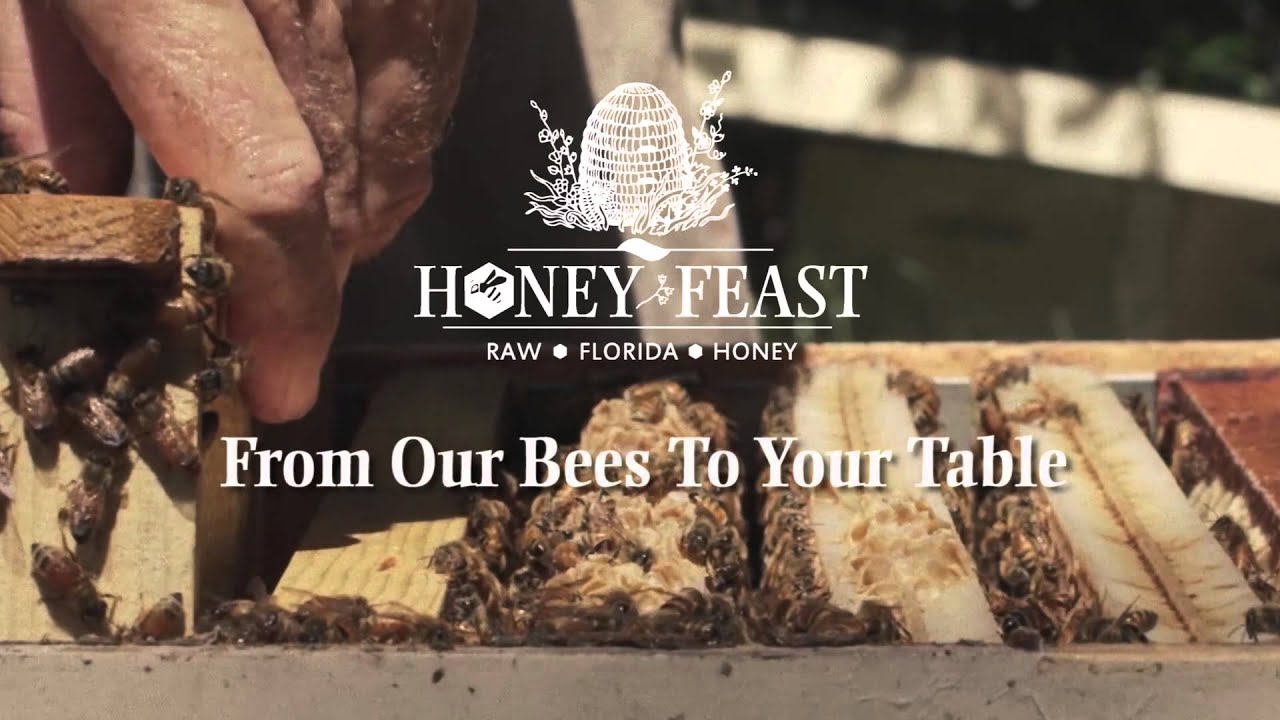 Honey Feast - Florida honey - raw local honey