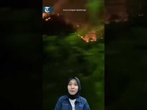 Padang Savana Gunung Bromo Terbakar, Bagaimana Nasib Kunjungan Wisata?