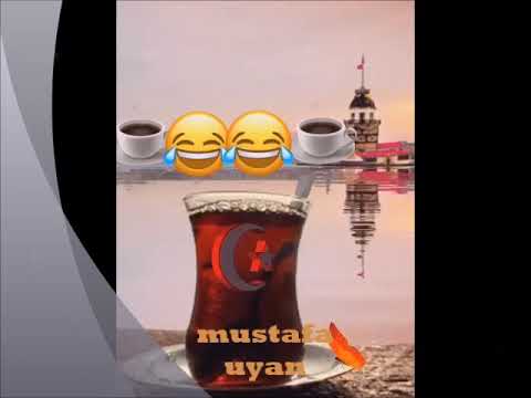 mustafa uyan
