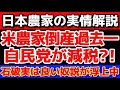 【石破は自民党破壊の最終兵器だった?!】この先国産米は絶滅するかも知れない。