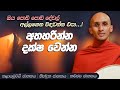 95. අතහරින්න දක්ෂ වෙන්න | කලායමුට්ඨි  ජාතකය | තින්දුක ජාතකය | කච්ඡප ජාතකය | 2023-08-14