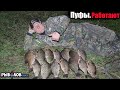 Почему все рыбаки теперь используют пуфы? Плавающие пуфы спасли рыбалку