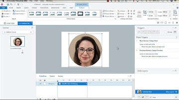Change Picture Shape in Articulate Storyline