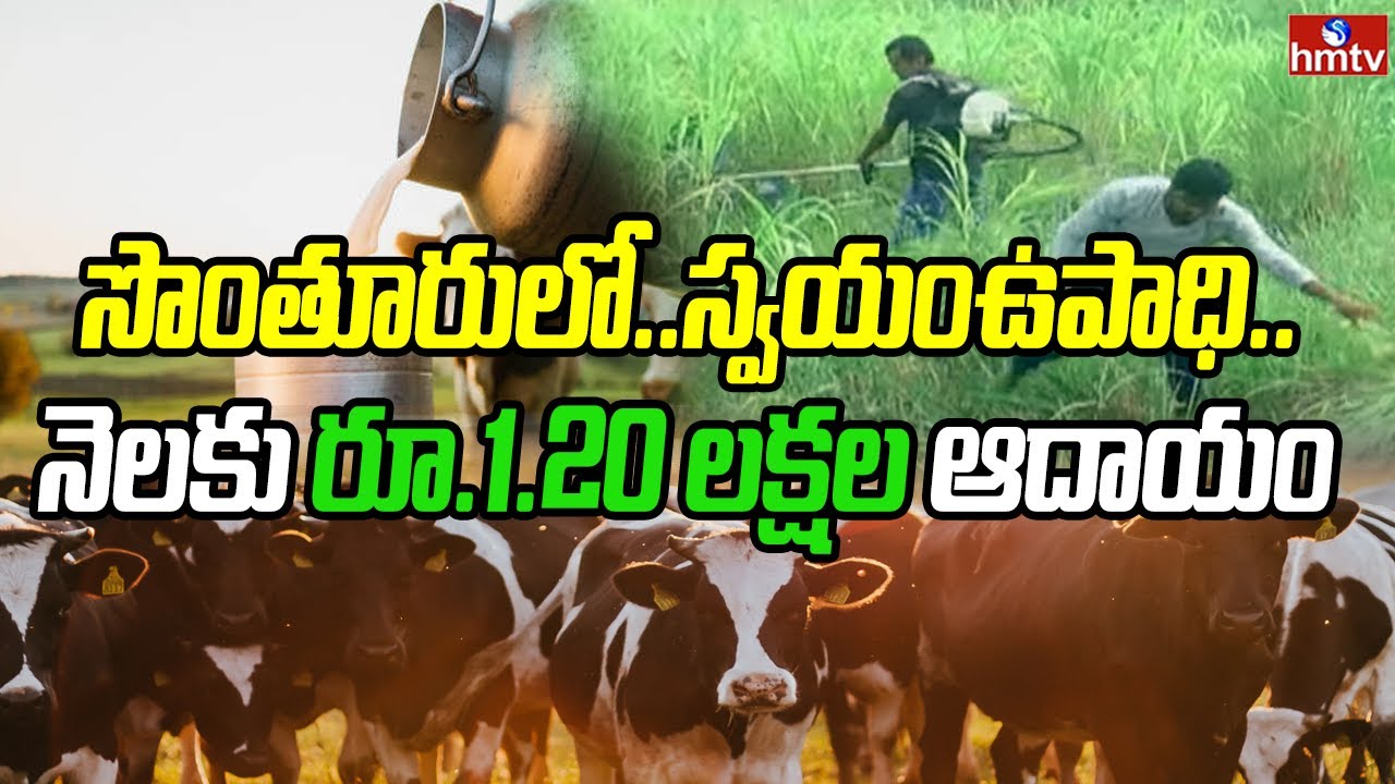 సొంతూరులో..స్వయంఉపాధి.. నెలకు రూ.1.20 లక్షల ఆదాయం | Srikakulam Young Farmers | Dairy Farming | hmtv