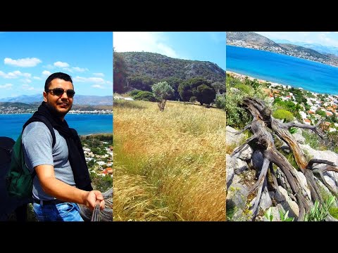 Astonishing Hiking Views Through Dying Light the Beast Fields
