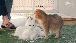 Cat's funny reaction to seeing a cat snowman