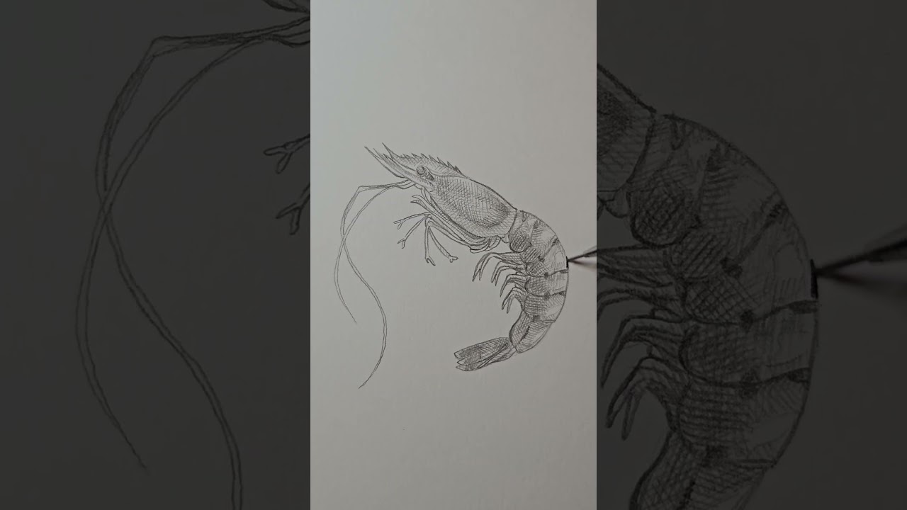 Day 96: Making Art for my Board Game!!