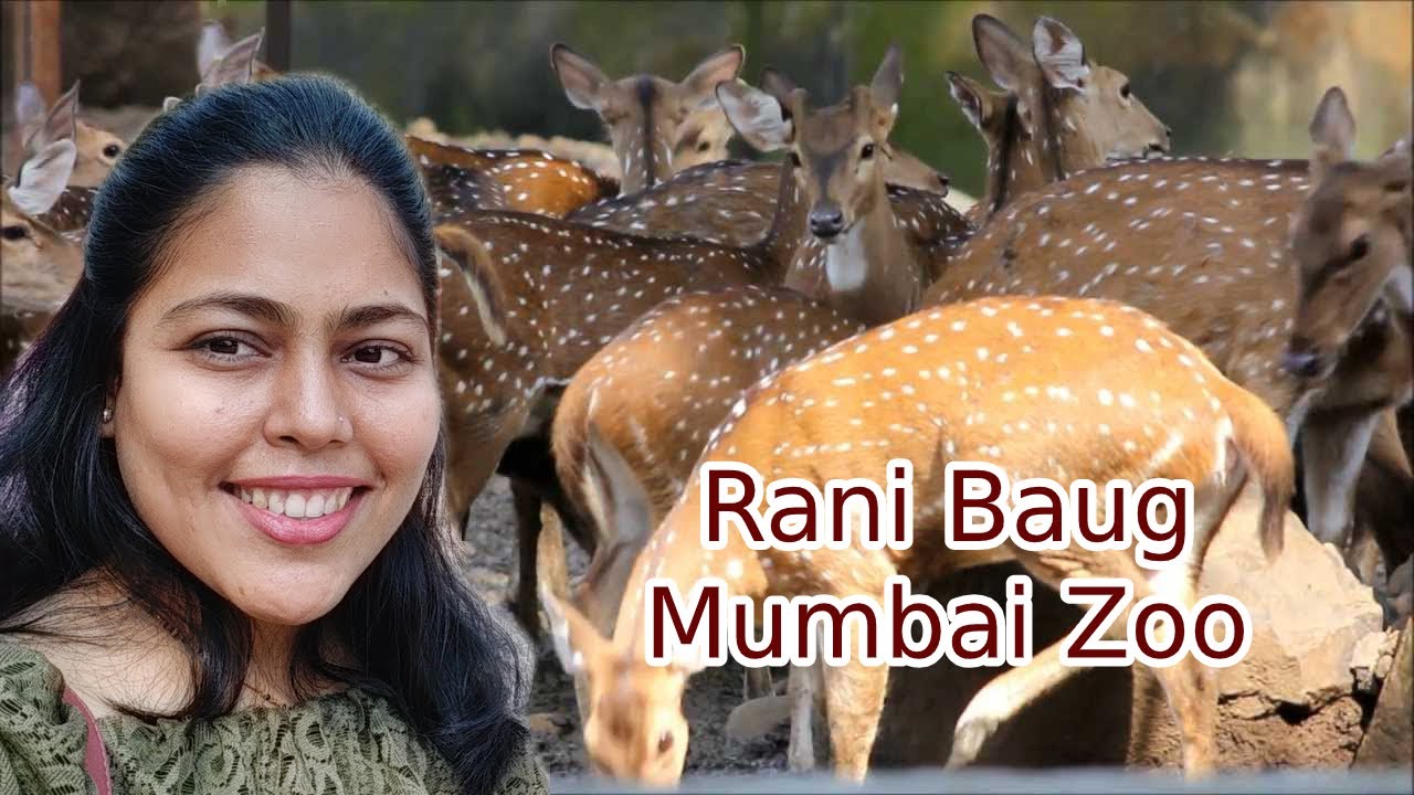 Ranichi Baug | Mumbai Zoo | Ranichi baug Penguin | Rani baug in mumbai 2020  | Rani baug byculla - YouTube