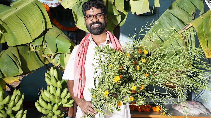 పెంటయ్య ఇంట్ల సంక్రాంతి | PENTAIAH ORIGINALS | BITHIRISATHI LATEST | #bithirisathi #sankranthi