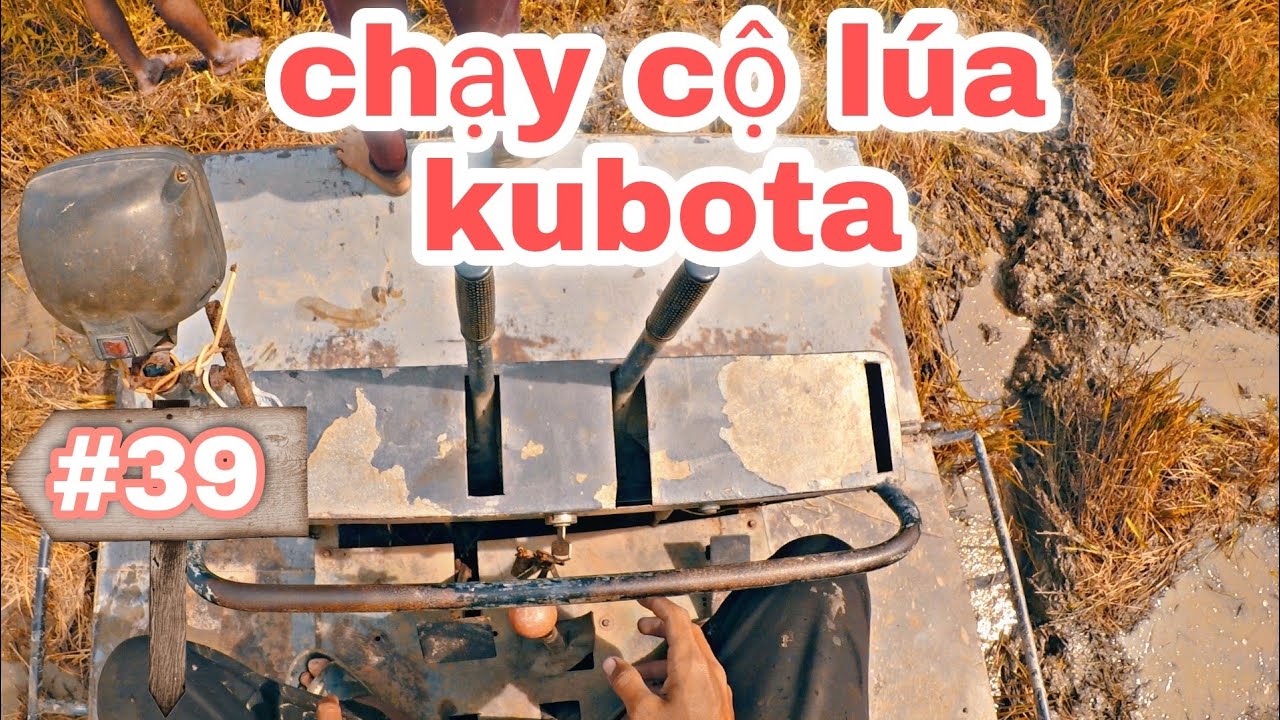 Series cắt lúa tập 39 | chỉ bạn chạy cộ lúa