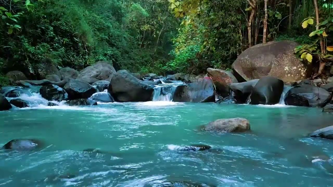 Calming River Flow for Sleeping & Studying Gentle Stream ASMR Sound