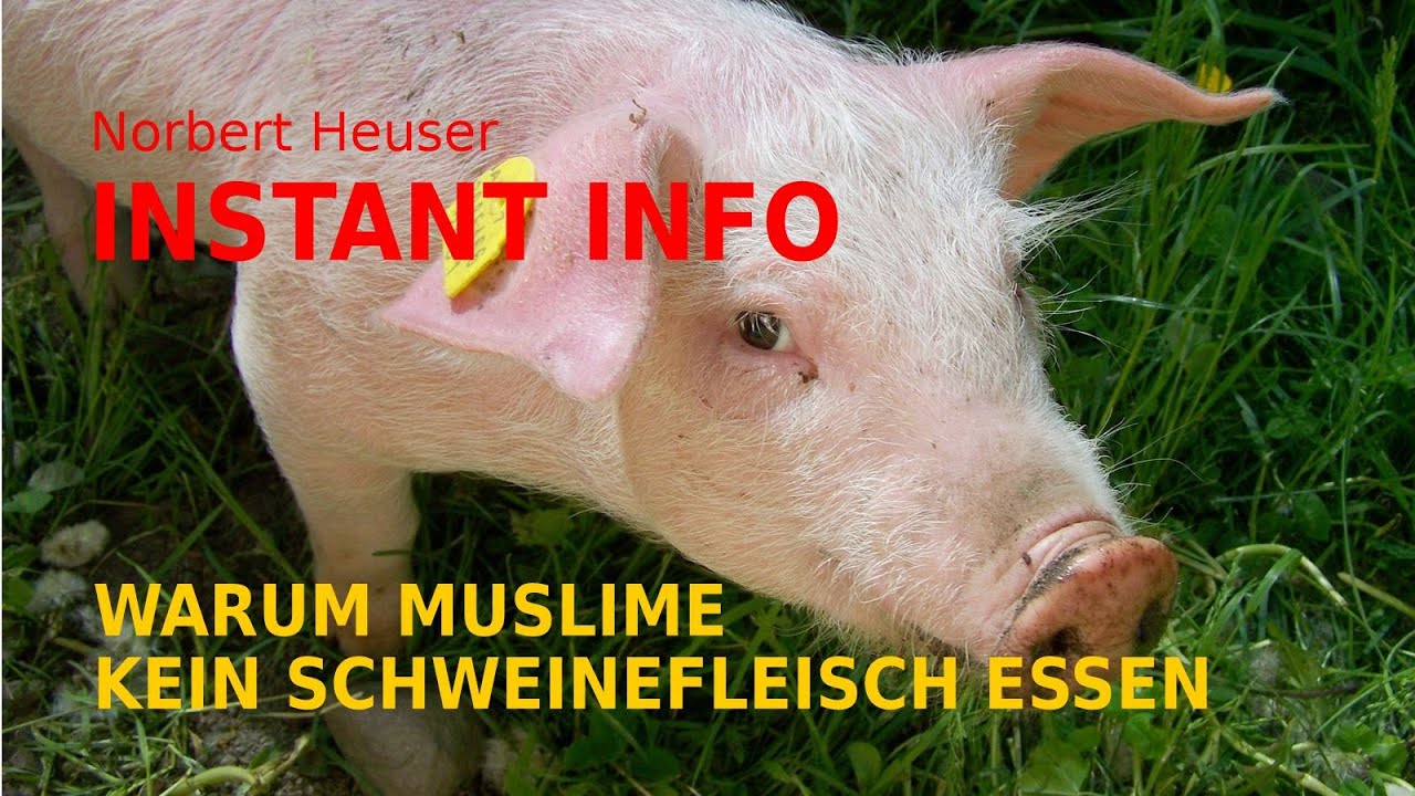 Instant Info 4 Warum Muslime kein Schweinefleisch essen YouTube Instant Info 4 Warum Muslime kein Schweinefleisch essen YouTube