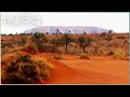 Traveling to the driest region in australia  ray mears wild australia