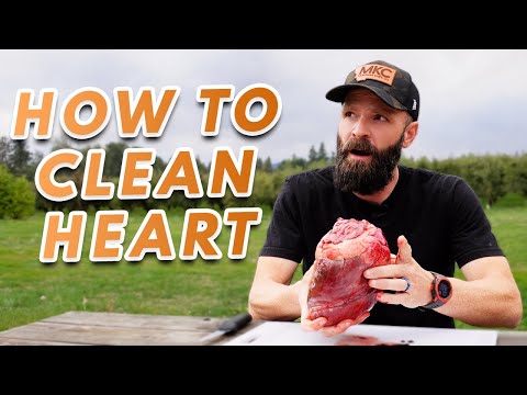 CLEAN An Elk