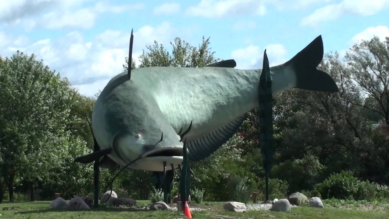 World's BIGGEST Fish Caught World Record - YouTube