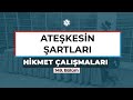 Hikmet Çalışmaları | ATEŞKESİN ŞARTLARI