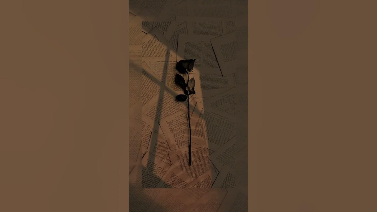 Хочу сумку джими чу.. - YouTube