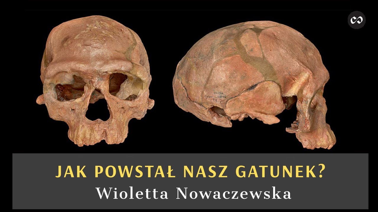 Pochodzenie Homo sapiens, Wioletta Nowaczewska