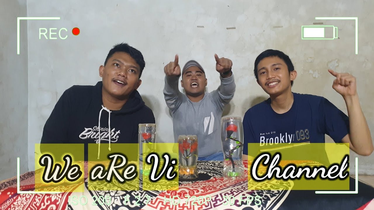 Awal mula terbentuknya WeaReVi Channel  YouTube
