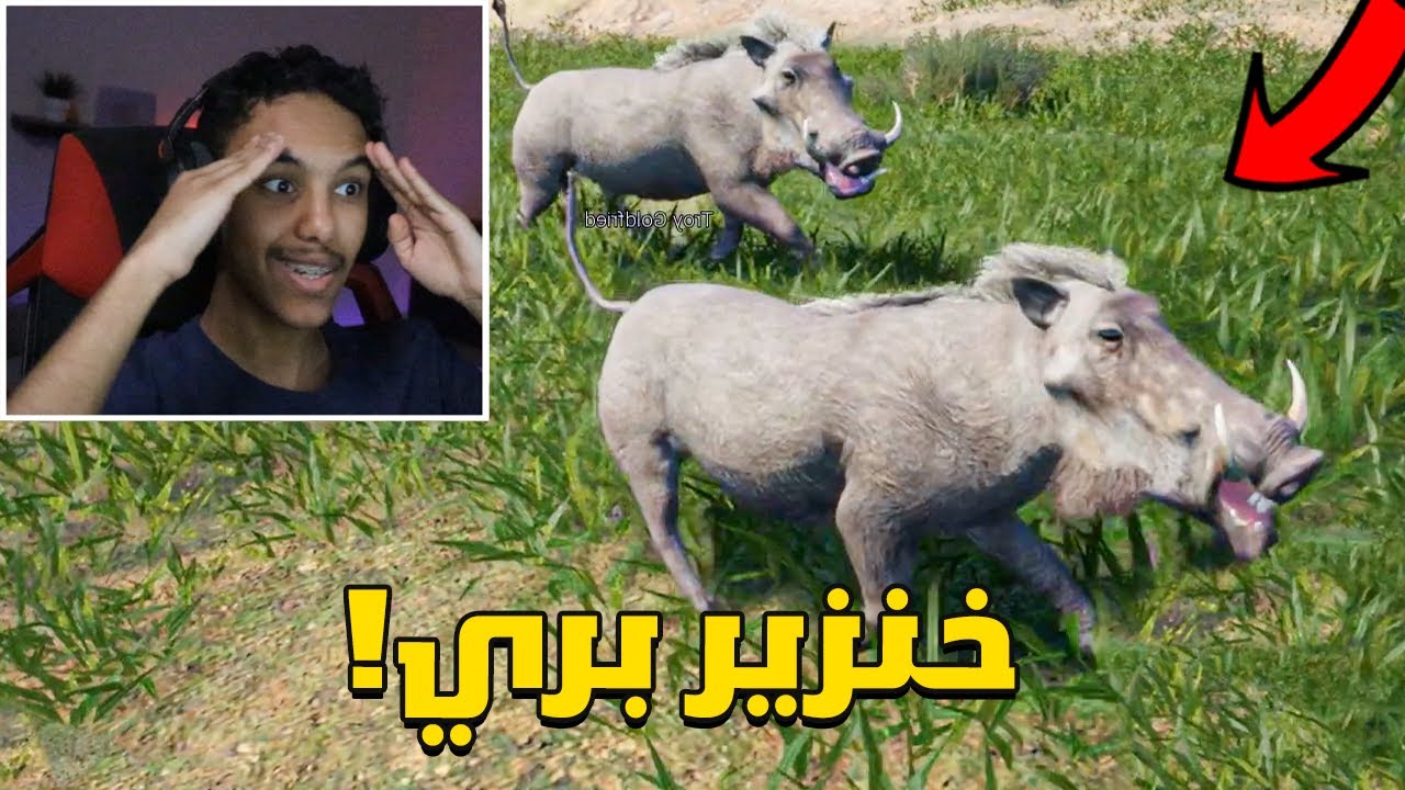 انيمليا سيرفايفل #21 : واخيرا رجعت وفيه حيوان جديد !😳🔥| Animalia Survival