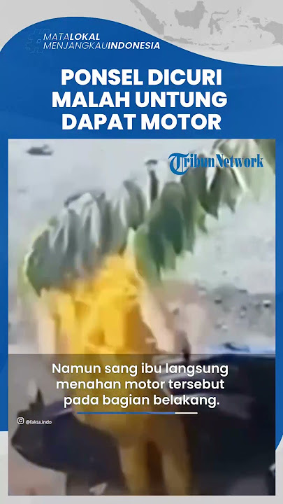 Viral Video Ibu-ibu Lawan Jambret yang Curi Ponselnya, Berujung Dapat Motor Pelaku