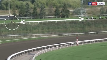 GENIUS ride! Jockey goes miles clear to win Grade 1 E.P. Taylor Stakes!