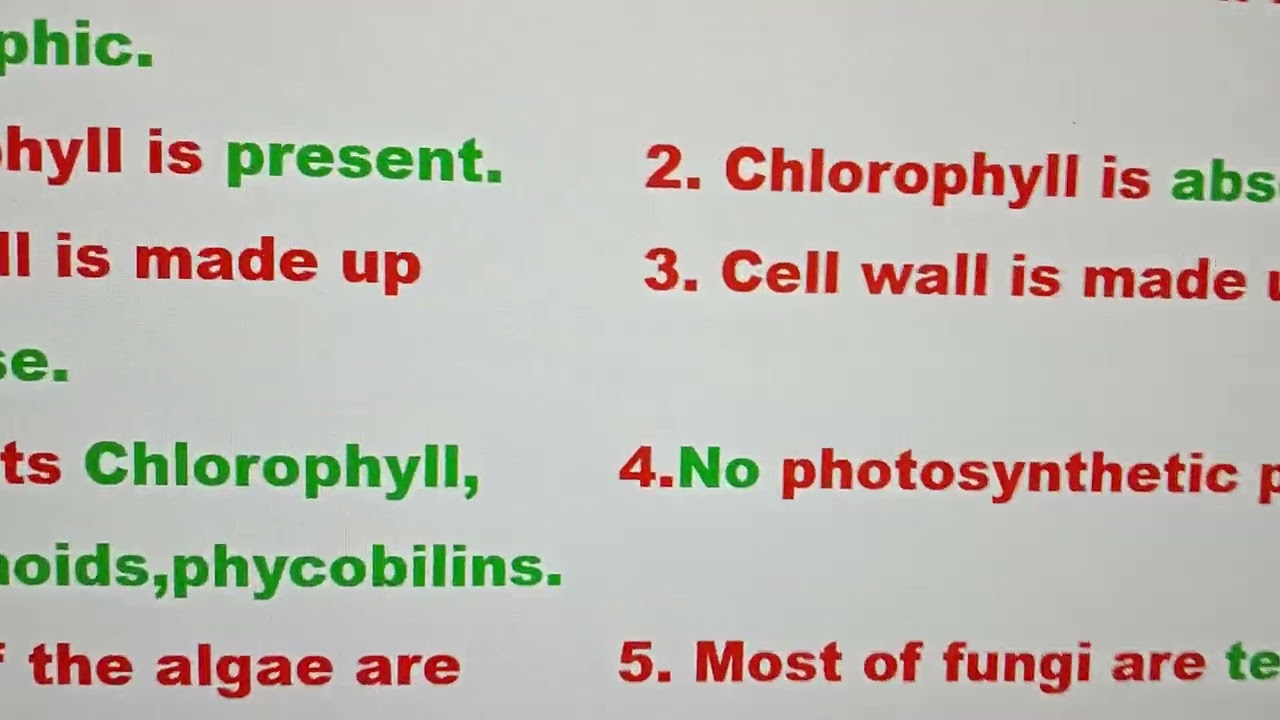 Comparison between Algae and Fungi