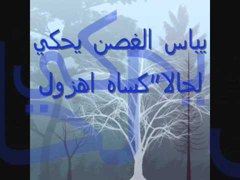 الشاعر دحام النشمي العنزي