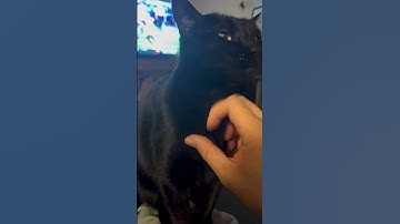 The opposite of doom scrolling