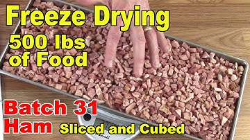Freeze Drying Your First 500 lbs of Food - Batch 31 - Ham, Slices & Cubes