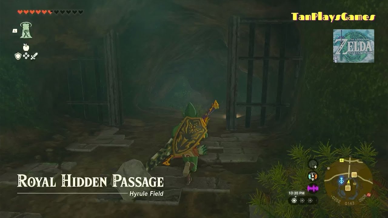 Royal Hidden Passage BubbulFrog Location : Zelda Tears of The Kingdom.