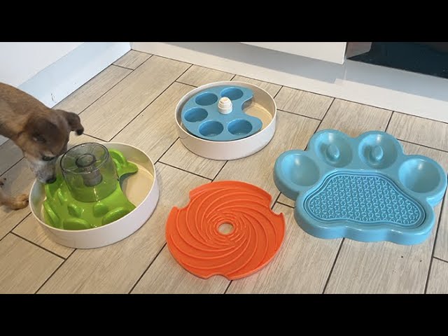 Dog Enrichment Toy SPIN UFO Maze Interactive Dog Bowl and Slow