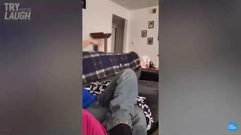 Funny animals, Try not to laugh challenge cats hate water